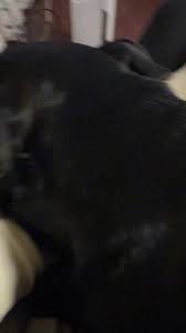 Lord These Chilrennns