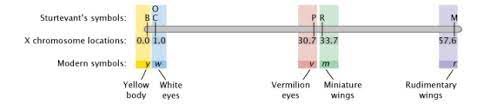 Genetic Recombination And Gene Mapping | Learn Science At Scitable