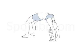Wheel Pose Urdhva Dhanurasana Wheel Pose Yoga For Flexibility Workout Guide
