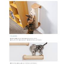 喜ばれる誕生日プレゼント キャットステップ MYZOO マイズー キャットウォークセット Luna TwinkleStar cp259  キャットウォーク 壁付 猫用 おしゃれ 北欧 scentmarketing.ru