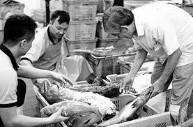 Both clusters were linked to seven cases each. Case Study How 40 Year Old Hai Sia Seafood Found Success In The Transition To Digital Mybusiness Network
