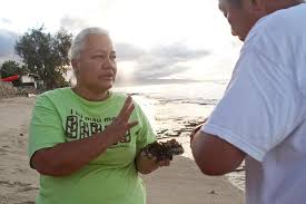 BIOGRAPHICAL SUMMARY: Alyson Nāpua Barrows Alyson Nāpua Barrows was born in  Honolulu in 1955. She remembers the abundance of o