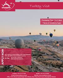 Turkey E Visa Travel And Tourism Travel Agency Travel Tours