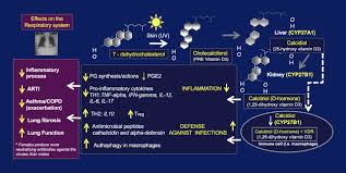 Evidences For A Protective Role Of Vitamin D In Covid 19 Rmd Open