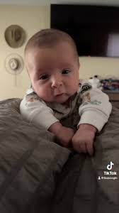 Lisa Scogin (@lisascogin)