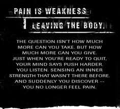  Quotes About Strength Navy Navy Seal Motivational Quotes Seal Quotes Navy Seals Quotes Quotes About Strength