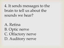 Or try some themed science trivia specifically for your grade level! Grade 3 Science Quiz Bee