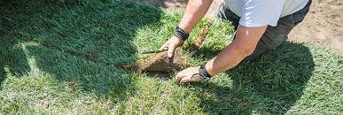 A seeded or sod lawn. How Much Do Lawns Cost In Nz Zones