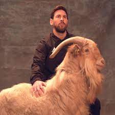 Hd wallpapers and background images. Lionel Messi Goat 2020 Wallpapers Wallpaper Cave