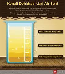 Sedangkan nyeri setelah berkemih, bisa menandakan adanya hal yang tidak beres pada kandung kemih atau prostat. Ketahui Warna Urine Dan Artinya Untuk Ungkap Kondisi Tubuh