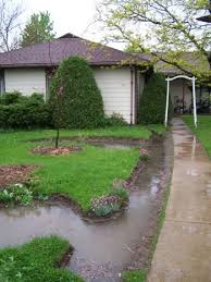 Front Yard Rain Garden And Berm Midwest Permaculture Rain Garden Front Yard Pagoda Garden