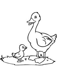 Mama Duck And Duckling Coloring Page Free Printable Coloring Pages Coloring Pages Duck And Ducklings Bird Coloring Pages