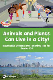 animals and plants can live in a city pbs learningmedia interactive lessons childrens education pbs learningmedia