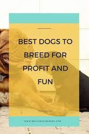 Dogs Breeds Kennels Ideas 63 Ideas Dog Breeding Business Best Dog Breeds Dog Breeds