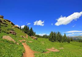 Yes, summer is the ideal season to vacation with kids at ski resorts, where outdoor recreation abounds, and luxury on a budget exists. Winter Park Colorado Vacation A Summertime Family Adventure