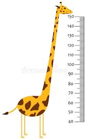 Giraffe Scale Stock Illustrations 229 Giraffe Scale Stock