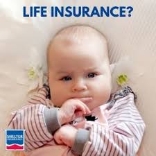 Profile for Shane Tapper Insurance Companies