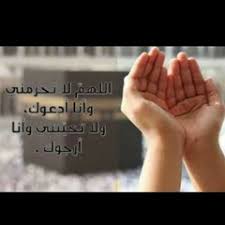 Stream Dalia.Rashed music