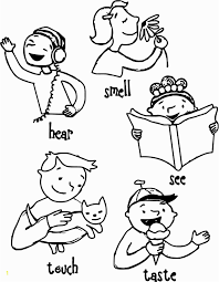 Five sense coloring pages for kids. Five Senses Coloring Pages Free Five Senses Coloring Pages Fresh 5 Senses Coloring Pages Beautiful Preschool Coloring Pages My Five Senses Senses Preschool