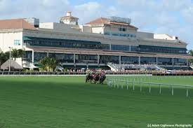 Sports odds including nfl, nba and ncaa college basketball, mlb and cfl. Holland S North American Free Picks For Dec 3 Twinspires Racing Sports Casino Bet Online With Twinspires