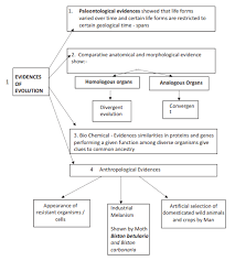 Contact our expert team for technical and application support of laboratory products Cbse Class 12 Biology Evolution Flow Chart