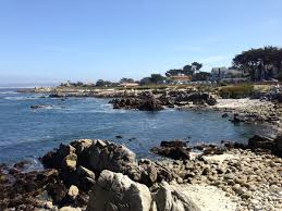 Maybe you would like to learn more about one of these? Monterey Bay Coastal Recreation Trail Hiking Carmel Green Lantern Inn