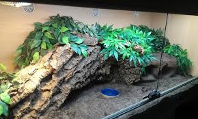 Monitor Enclosure By Cold Blooded Beast On Reptile Forums Uk Beardeddragonideas Bearded Dragon Blue Tongue Skink Reptiles