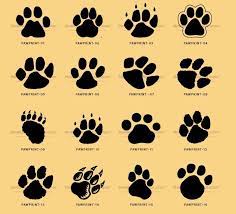 29 Best Bear Print Tattoo Ideas Paw Tattoo Bear Paw Tattoos Tattoos