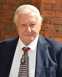 Profile for Michael Shutters