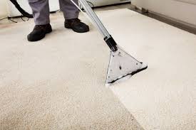 The Importance of Regular Carpet Cleaning for Allergy Prevention