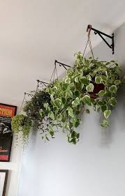 15 Moglichkeiten Grune Pflanzen Im Haus Aufzuhangen 2019 15 Moglichkeiten Grune Pflanzen Im Haus Aufzuhangen Aufz Hanging Plants Indoor Plants Indoor Plants