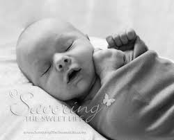 The Wedding of Holly and Chris: The Ceremony San Diego, San Marcos, Green  Gables Estate and School House and Garden Wedding Photographer