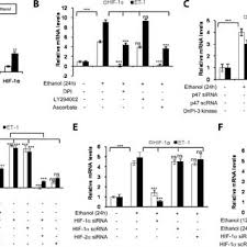 Dillashaw, deiveson figueiredo and cody garbrandt. Pdf Ethanol Induced Expression Of Et 1 And Et Br In Liver Sinusoidal Endothelial Cells And Human Endothelial Cells Involves Hypoxia Inducible Factor 1 And Microrna 199