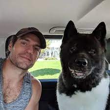 FUCKINGBESTFILMS | Henry Cavill's selfies with his dog, Kal. 🐶 Henry has said multiple times that Kal has saved his mental health. ❤️ | Instagram