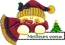 Résultat de recherche d'images pour "gifs meilleurs voeux"