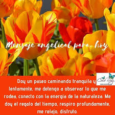 Mensajes Angelicales Angeles Arcangeles Seres De Luz Maestros Guias Angeles Guias Angeles Protectores Curso De Angeles Tall Instagram Plants Vegetables