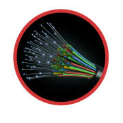 Department of Cable and Consumer Services