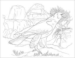 Sep 25, 2019 · here is a small collection of 20 cute pig printable coloring pages for preschoolers. Desert Animals Coloring Page Coloringbay