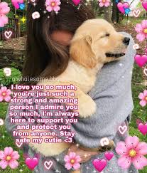 I M So Tired Of Unnecessary Drama But I M Watching Frozen Tags Ignore Me Wholesomeness Wholeso Cute Love Memes Wholesome Memes Cute Memes