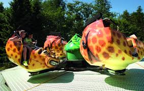 Action Fur Echte Abenteurer Fahrgeschafte Im Serengeti Park Fahrgeschafte Freizeitpark Park