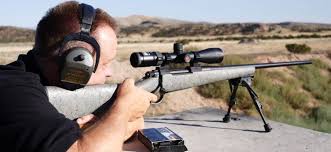Free shipping for many products! The 24 Best Rifle Scopes Of 2021 Reviewed Outdoormiks