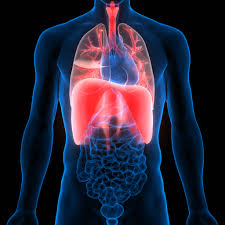 13 Signalen Dat Je Lichaam Meer Vitamine D Nodig Heeft