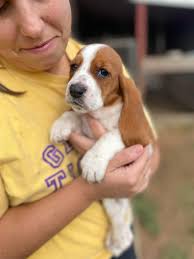 Here's a little Easter treat! I'll start messaging clients from my waitlist  soon!! I promise ❤️