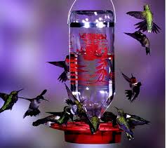 There's nothing sweeter than spotting a hummingbird in your yard. Glass Bottle Hummingbird Feeder