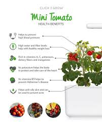 The best way to grow hungarian heart tomatoes is to plant them in the field, but they also can be planted in big pots or greenhouse. Don T Let Size Fool You All The Benefits Of Our Mini Tomatoes Click Grow
