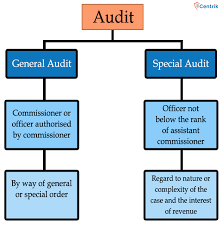 Chart Audit Under Goods And Service Tax