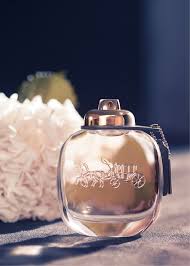 L Eau Kenzo Intense Pour Femme Eau De Parfum Women S Perfume Fragrance Coach Perfume Best Perfume Perfume Photography