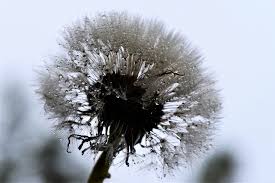 Image result for site:byggahus.se Macro