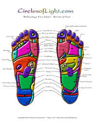 Reflexology And Sub Fertility Reflexology Yahoo Answers