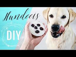 Hundeeis Selber Machen Hundeleckerlies Mit 2 Zutaten Frozen Yogurt Froyo Diy Youtube Hunde Futter Eis Fur Hunde Hundefutter